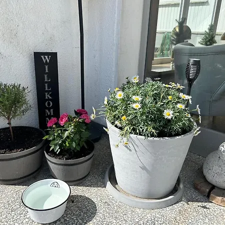 Peters Aparthotel 3*